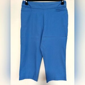 Women's Pretty Blue Capri Pants /  Size 16